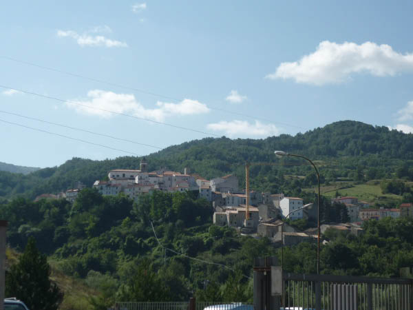 P1000649