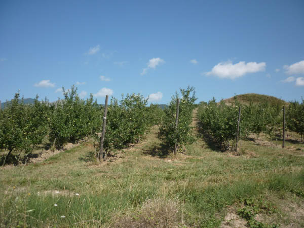 P1000650