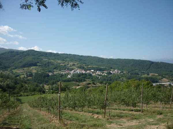 P1000654