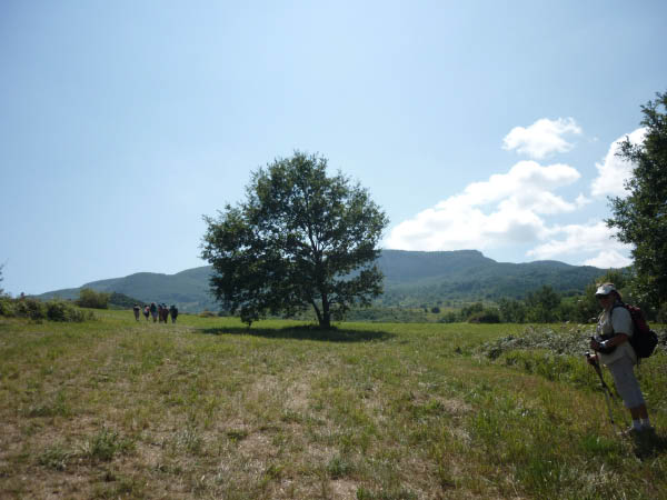 P1000657