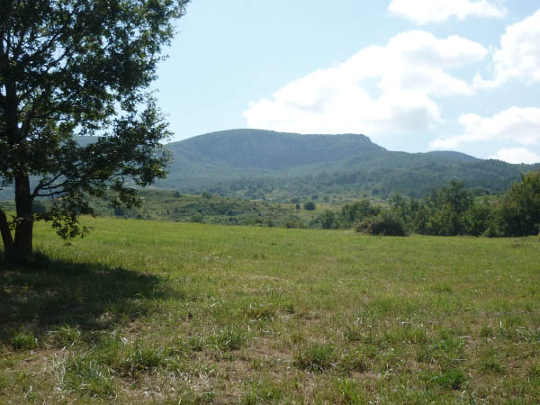 P1000658