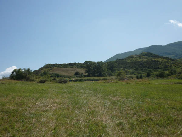 P1000659