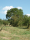 P1000651