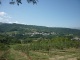 P1000654