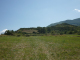 P1000659