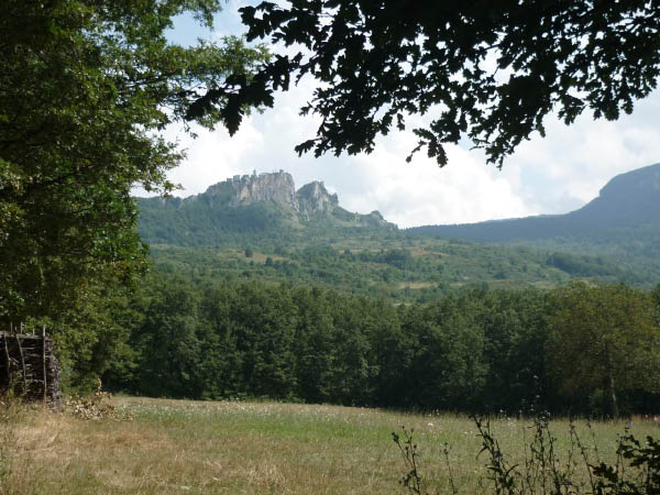 P1000703