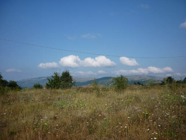 P1000710