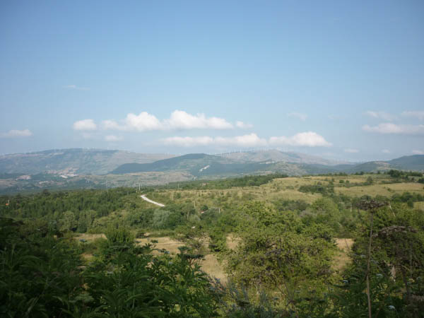 P1000714