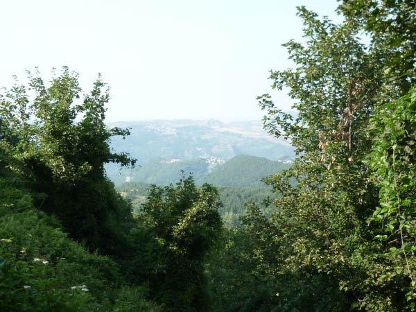 P1000716