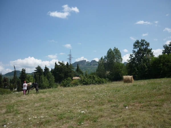 P1000683