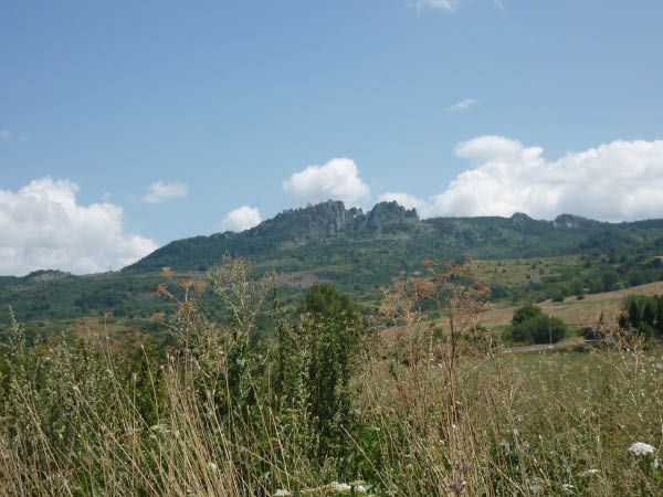 P1000688