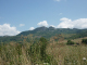 P1000688