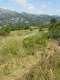 DSCN6267