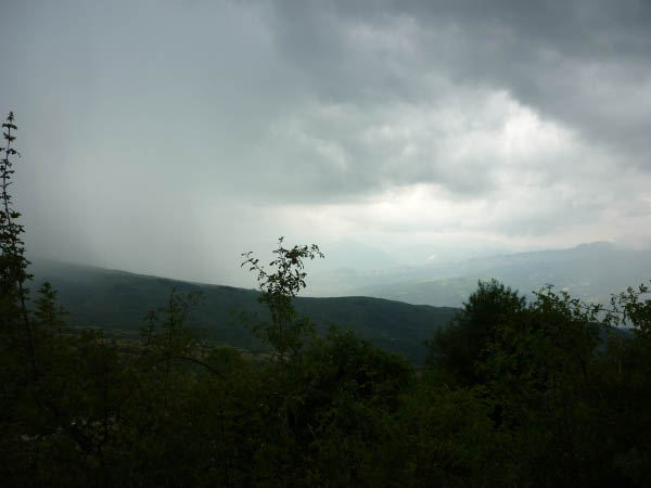 P1000787