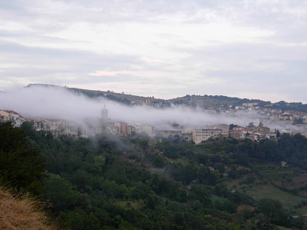 DSCN6410