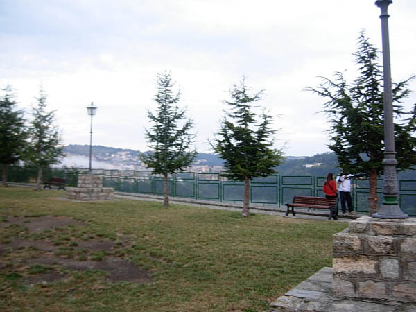 DSCN6415