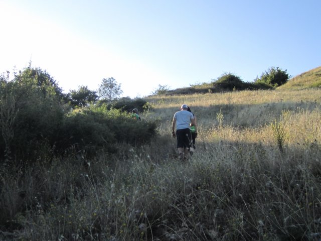 img_0478.jpg