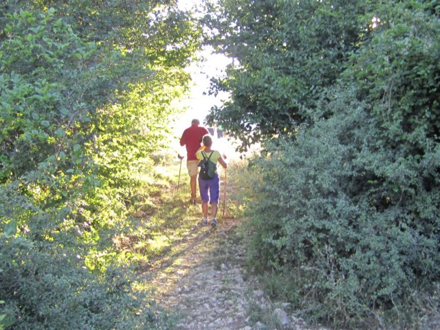img_0488.jpg