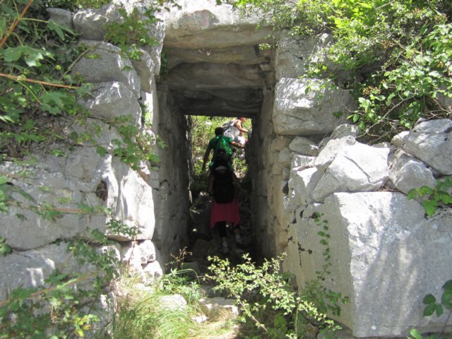img_0745.jpg