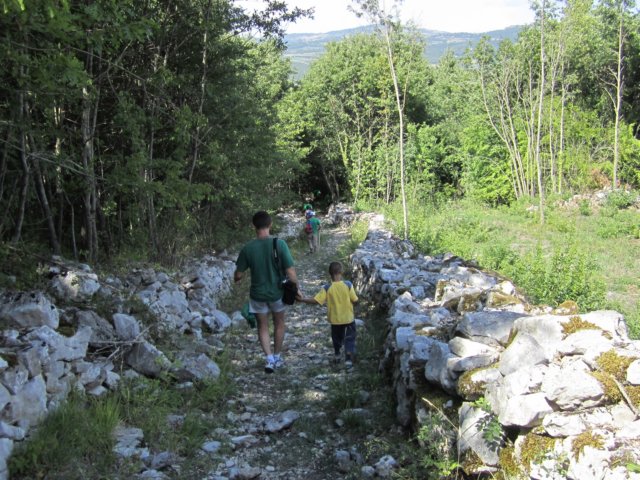 img_0778.jpg