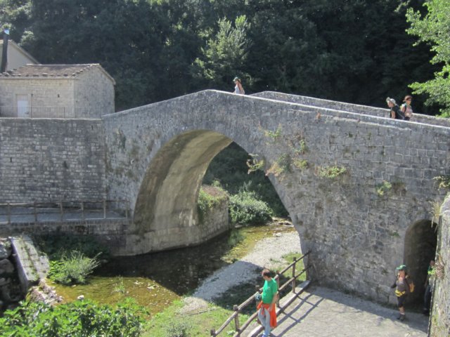 img_0588.jpg