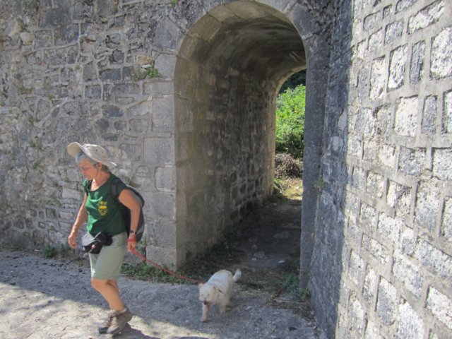 img_0594.jpg