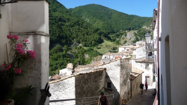p1040135.jpg