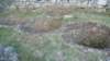p1040247_small.jpg