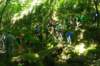 imgp0065_small.jpg