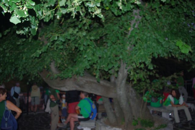 imgp0167.jpg