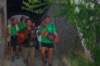 imgp0278_small.jpg