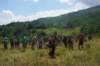 imgp0229_small.jpg
