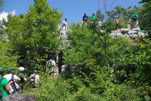 imgp0235.jpg