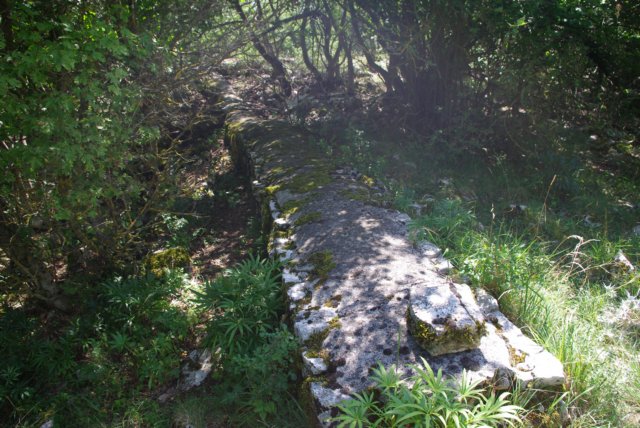 imgp0240.jpg