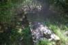 imgp0240_small.jpg