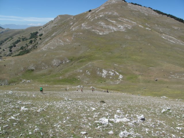 img_1073.jpg