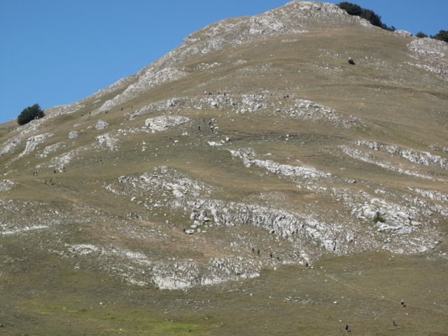 img_1079.jpg