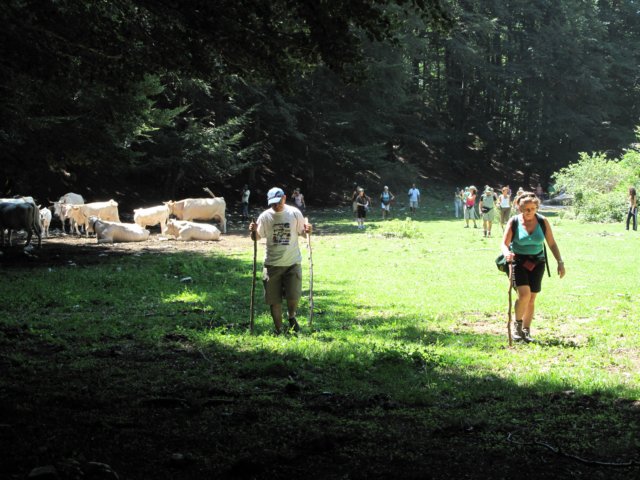 img_1174.jpg