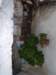 photo102_small.jpg