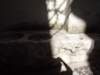 photo13_small.jpg