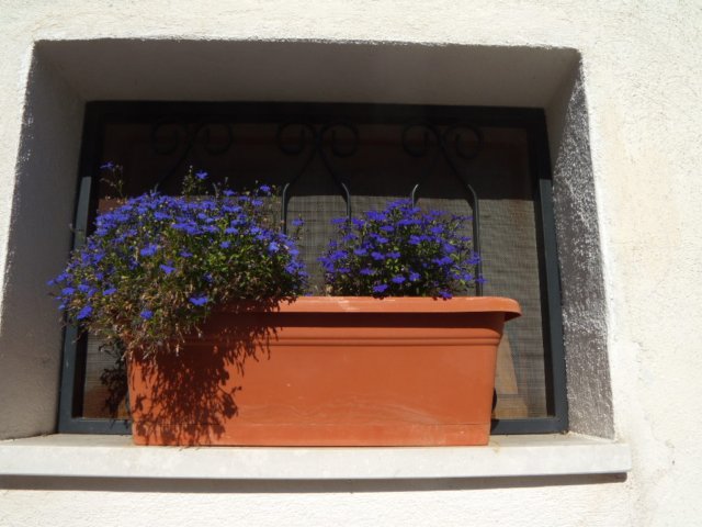 photo46.jpg