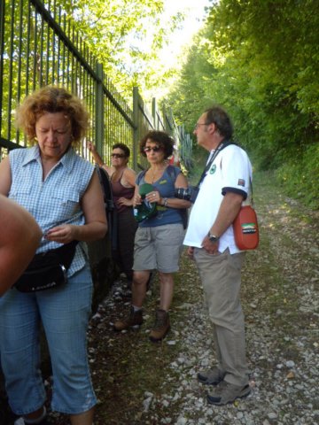 photo11.jpg