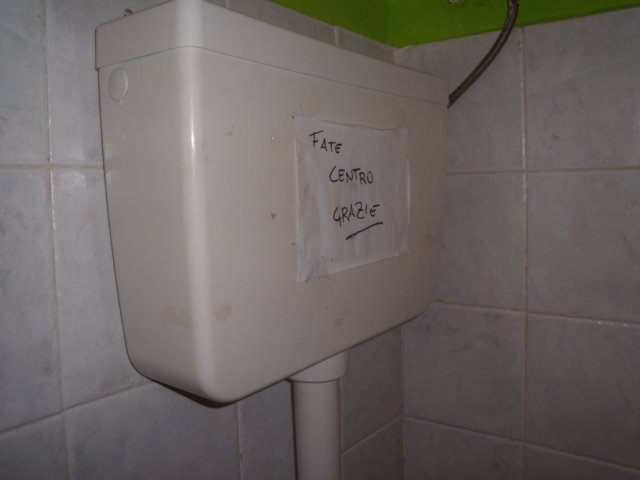 photo14.jpg