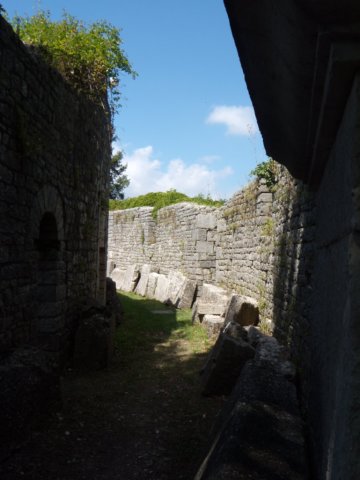 photo20.jpg