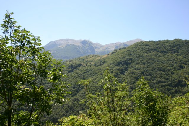 img_0851.jpg