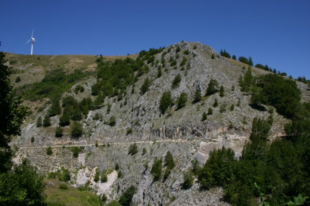 img_0858.jpg