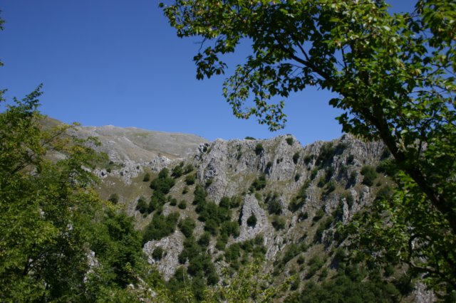 img_0875.jpg