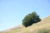 img_0935_small.jpg