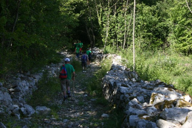 tappa088.jpg