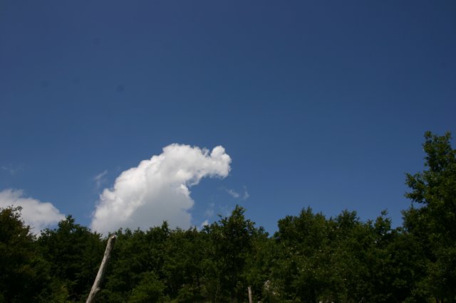 tappa049.jpg